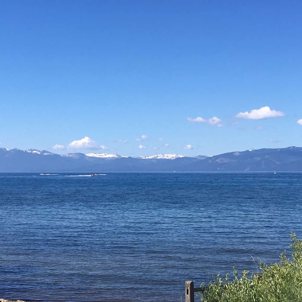 Meet your Posher, Sheila